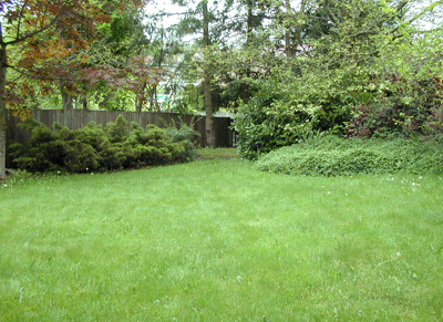 Redmond Estates backyard